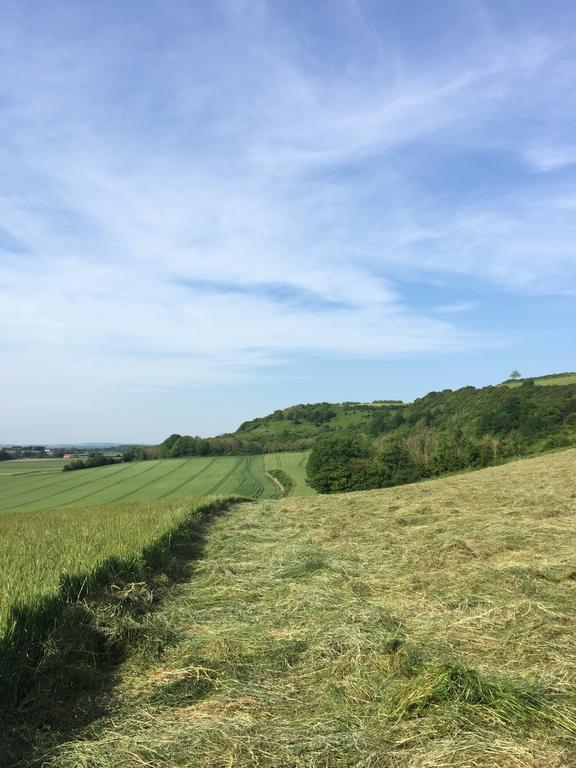 Vila Les Collines Du Breuil Samer Exteriér fotografie
